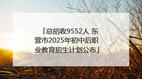 总招收9552人 东营市2025年初中后职业教育招生计划公布